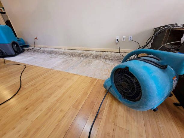 Professional Flood Damage Cleanup technician working in Babcock, WI